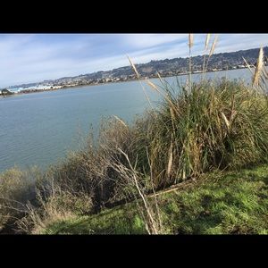 Meet your Posher, Esther